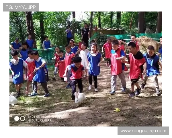 興發真人體驗：参加真人游戏的注意事项与小技巧